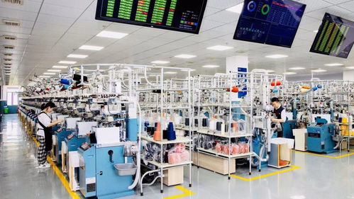 數字技術賦能智慧時尚 浙江諸暨以科技驅動產業高質量發展，助力構建雙循環新格局